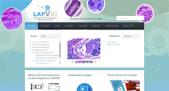 Desktop Screenshot of lapvso.com